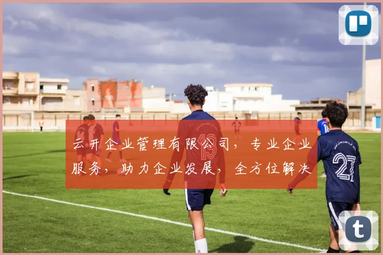 云开企业管理有限公司，专业企业服务，助力企业发展，全方位解决方案，诚信共赢