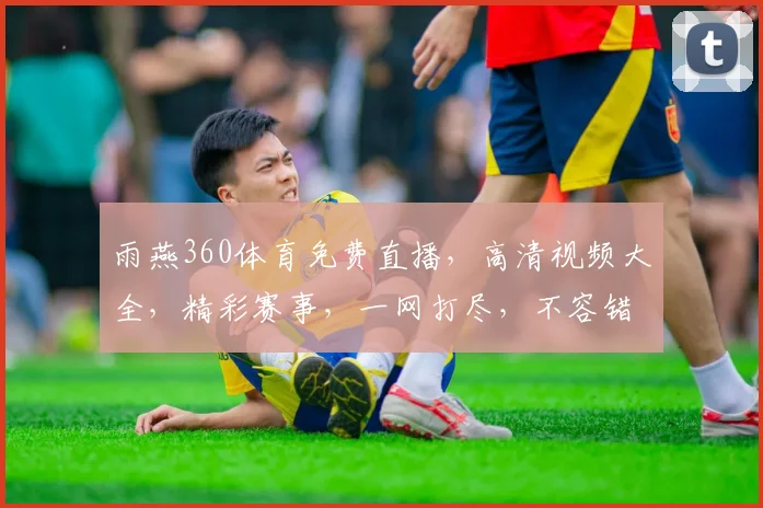 雨燕360体育免费直播，高清视频大全，精彩赛事，一网打尽，不容错过，尽在掌握