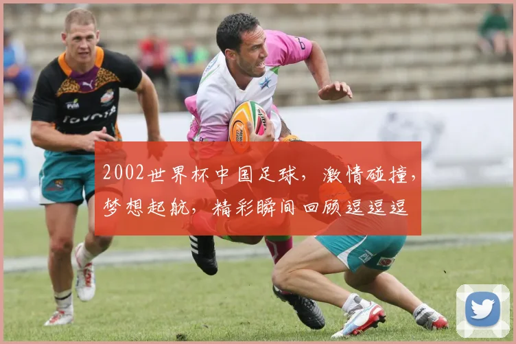 2002世界杯中国足球，激情碰撞，梦想起航，精彩瞬间回顾逗逗逗